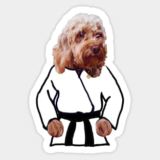 Blue eyed black belt Kong fu Cava - Karate -martial arts Cavapoo  Cavoodle puppy dog  - cavalier king charles spaniel poodle, puppy love Sticker